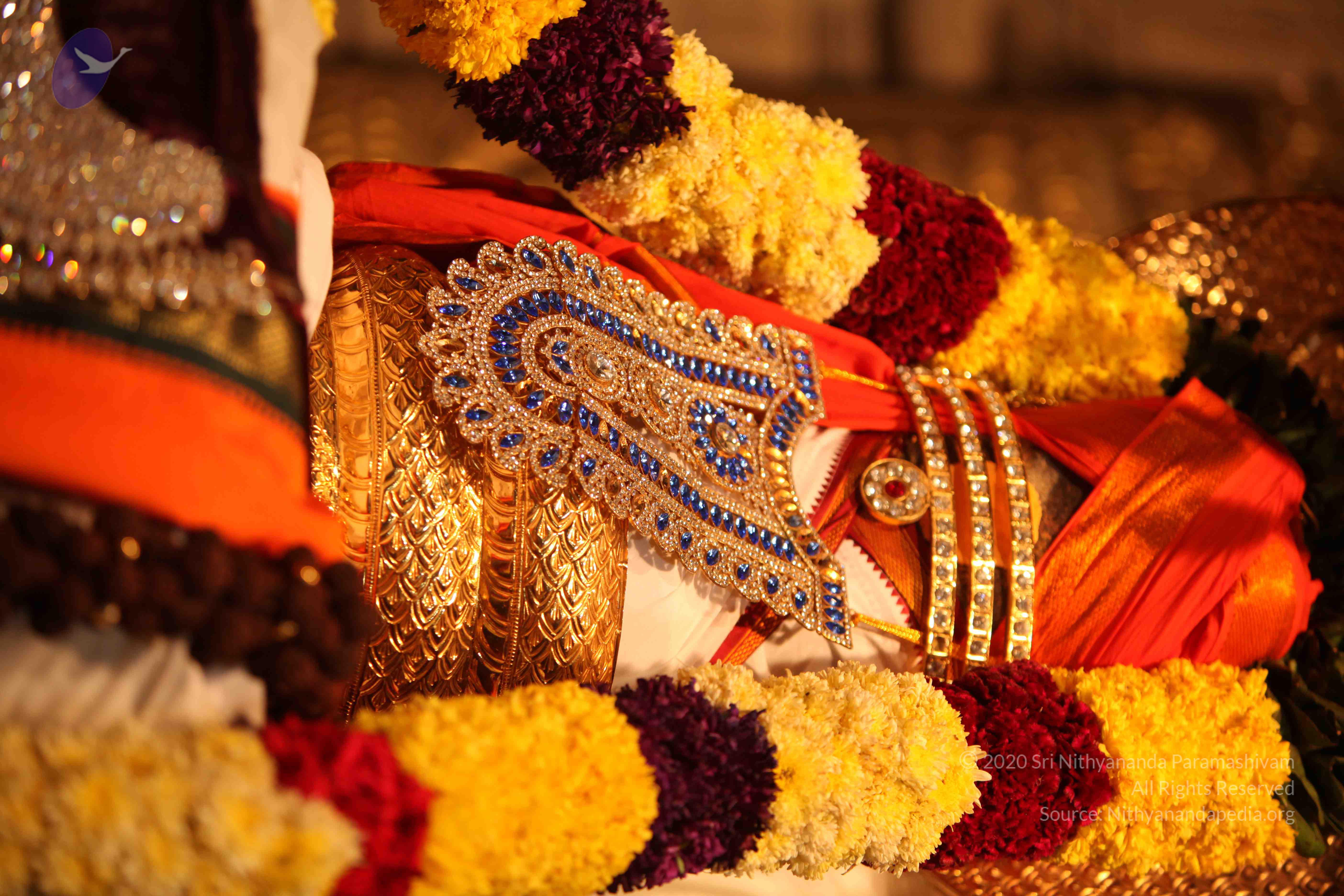 20110225_Photo_1024_IMG_1737_CMP_WM